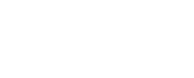 Tribeca Festival